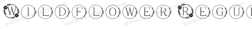 Wildflower Regular字体转换